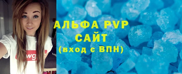 индика Абаза