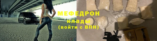 индика Абаза