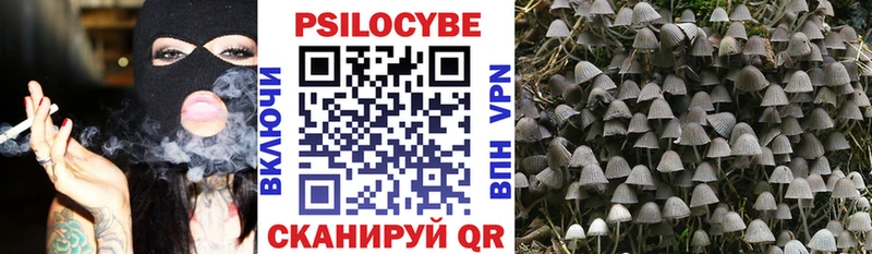 Псилоцибиновые грибы Psilocybine cubensis  наркотики  Вологда 
