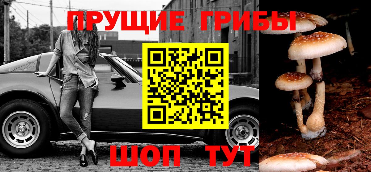Вологда  Псилоцибиновые грибы ЛСД  Вход с VPN 