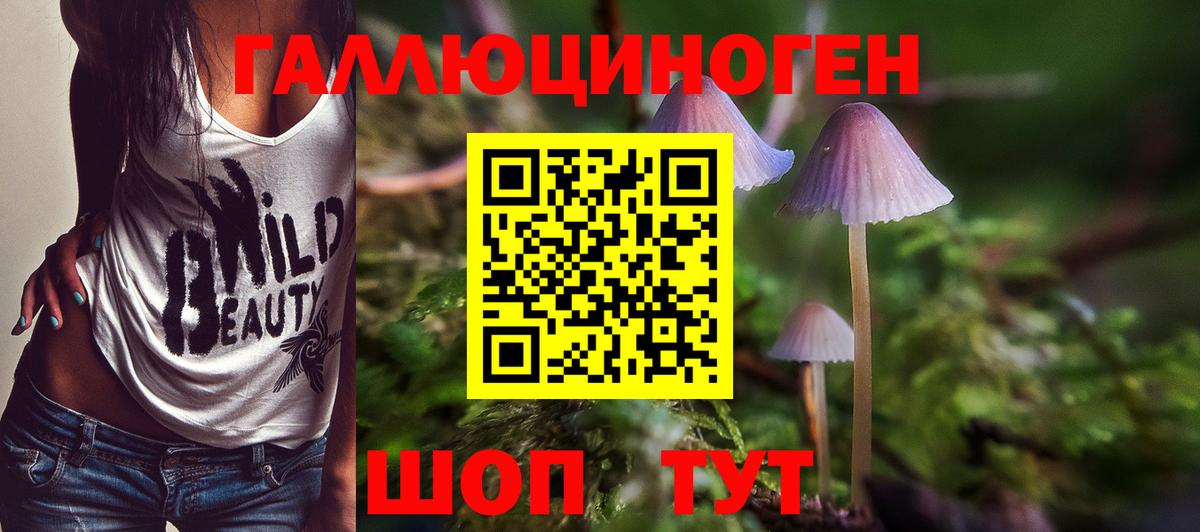Псилоцибиновые грибы ЛСД Вологда